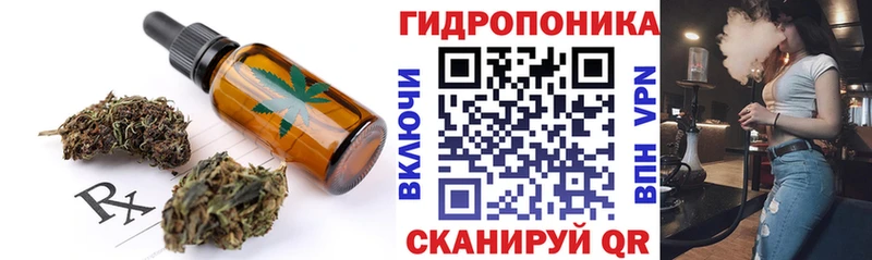 Купить закладки  Подпорожье  Cannafood конопля 