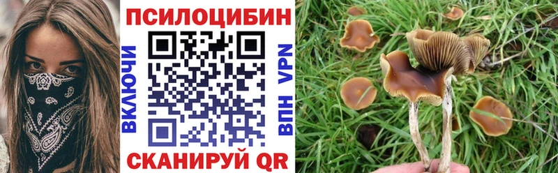 Галлюциногенные грибы GOLDEN TEACHER  Купить закладки  Подпорожье 